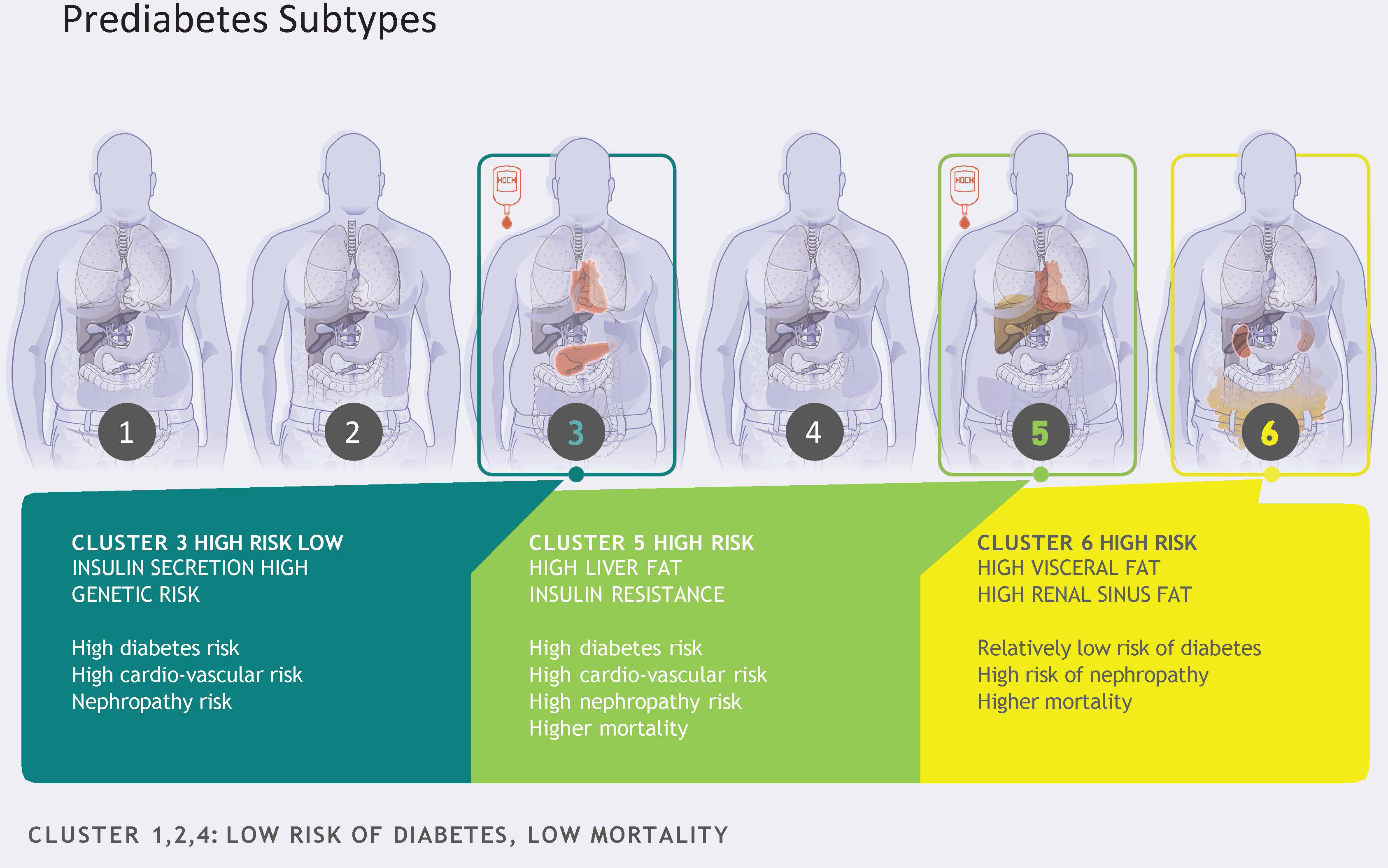 Prediabetes subtypes