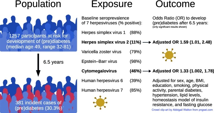 HSV-2 and CMV and prediabetes risk