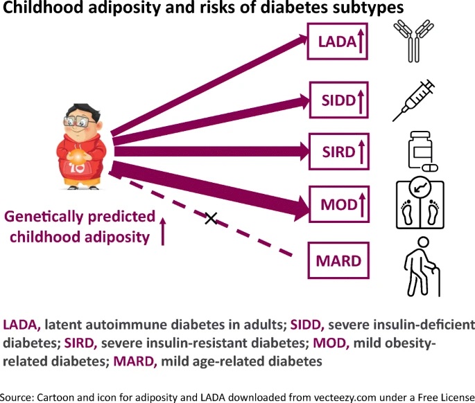 Childhood Obesity and Diabetes