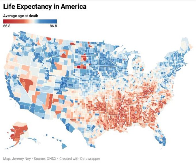 Life Expectancy