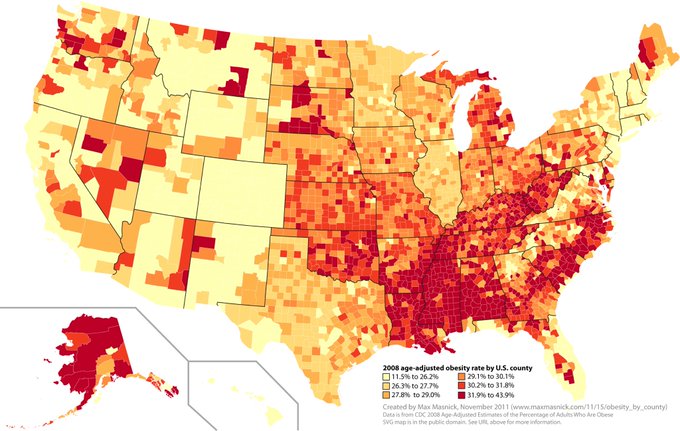 US Obesity