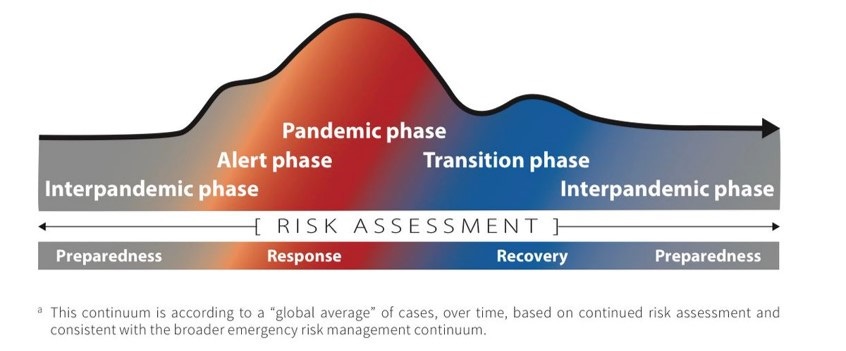 Pandemic Risk Management