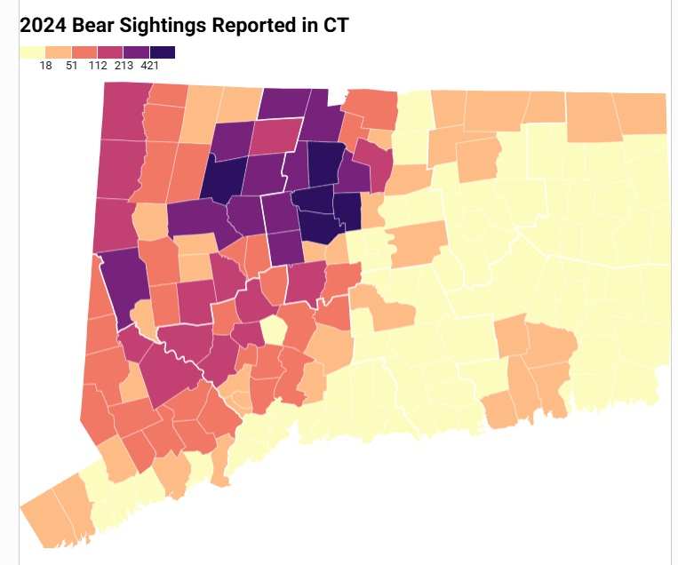 2025 Bear sitings