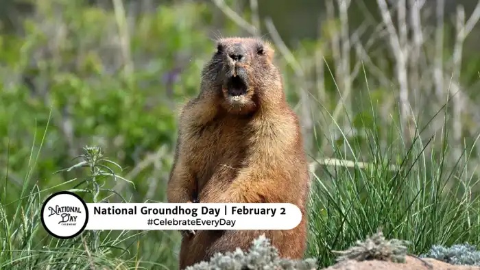 February 2nd is National Groundhog Day
