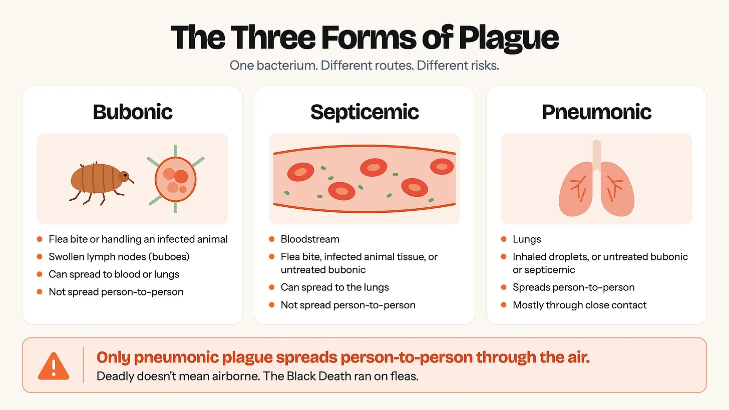 3 forms of plague