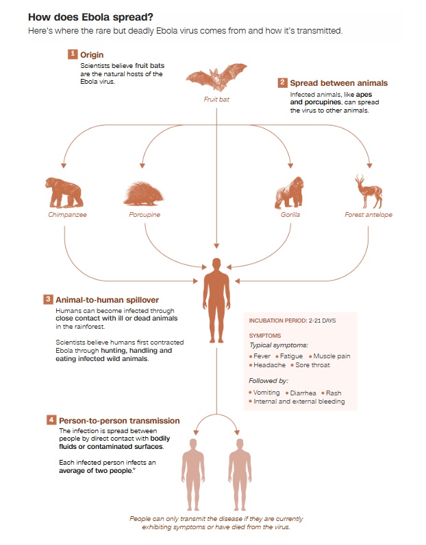 How is Ebola Spread