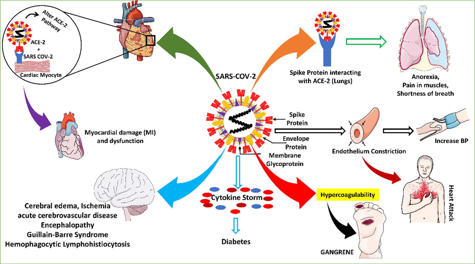 COVID and comorbidities