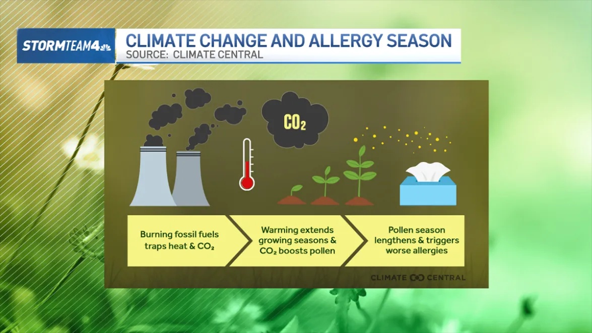 Climage Change and Allergies
