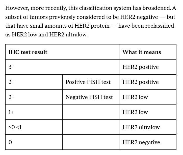 HER2 - new classifications