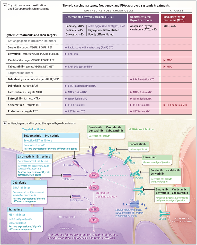 Thyroid Cancer types
