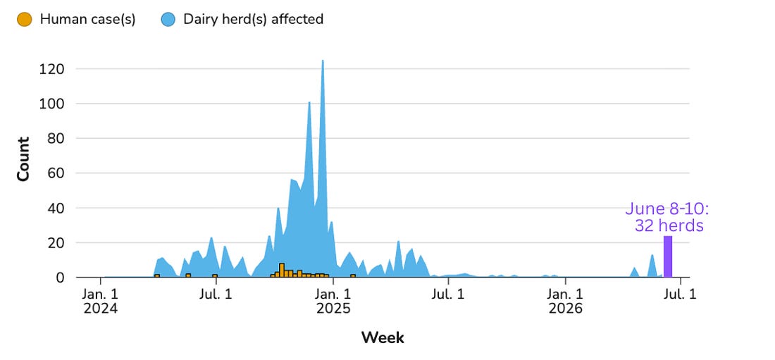 H5N1 dairy herds. Purple: updated figure with USDA numbers since CDC figure has only been updated since June 3. Source: CDC and USDA.