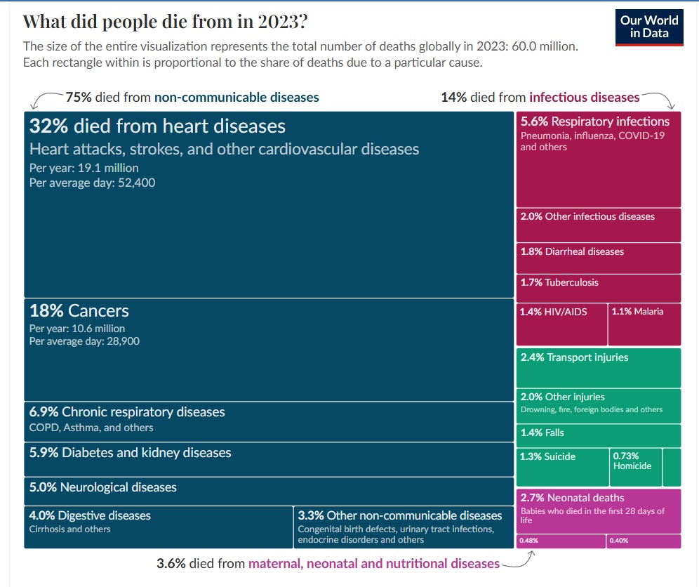 2023 Mortality