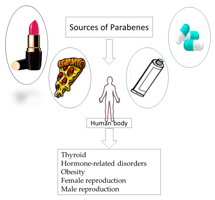 Parabens