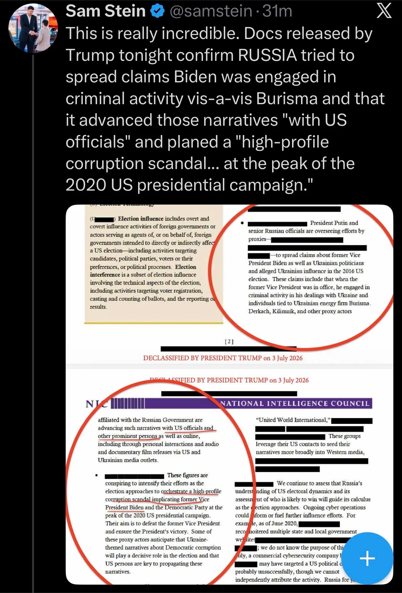Russian Interference