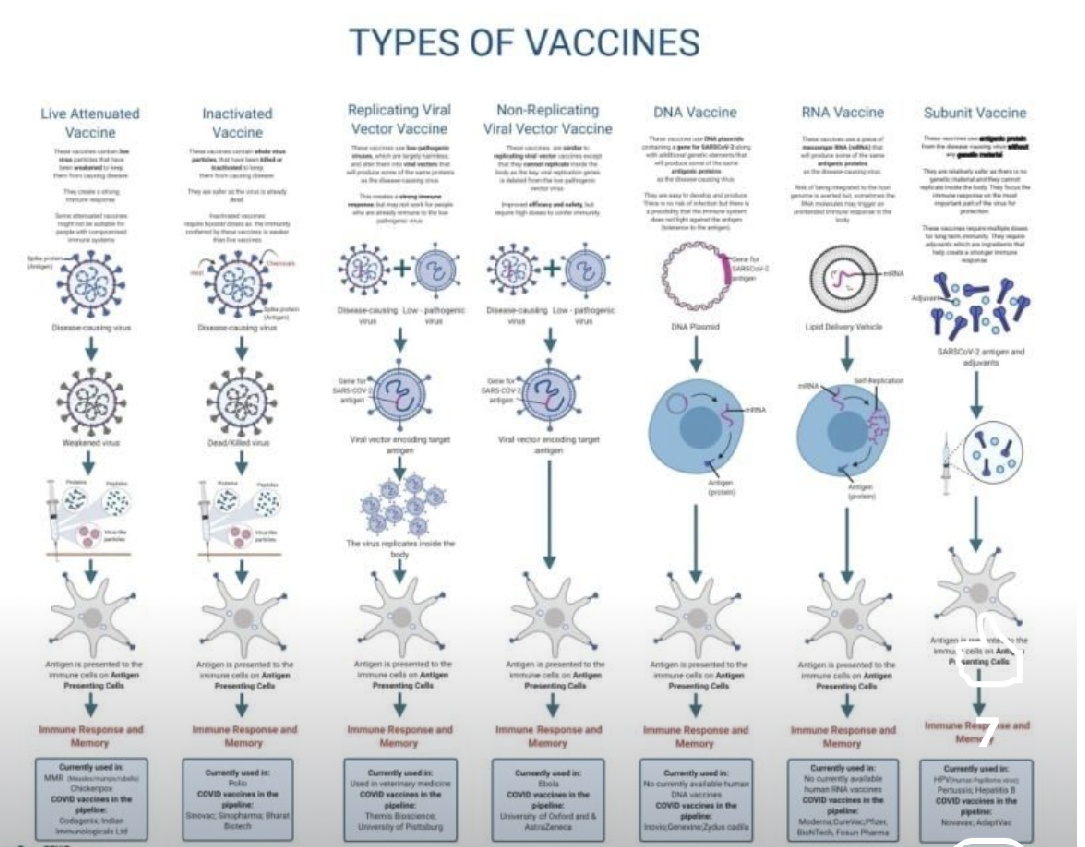 Immunization types
