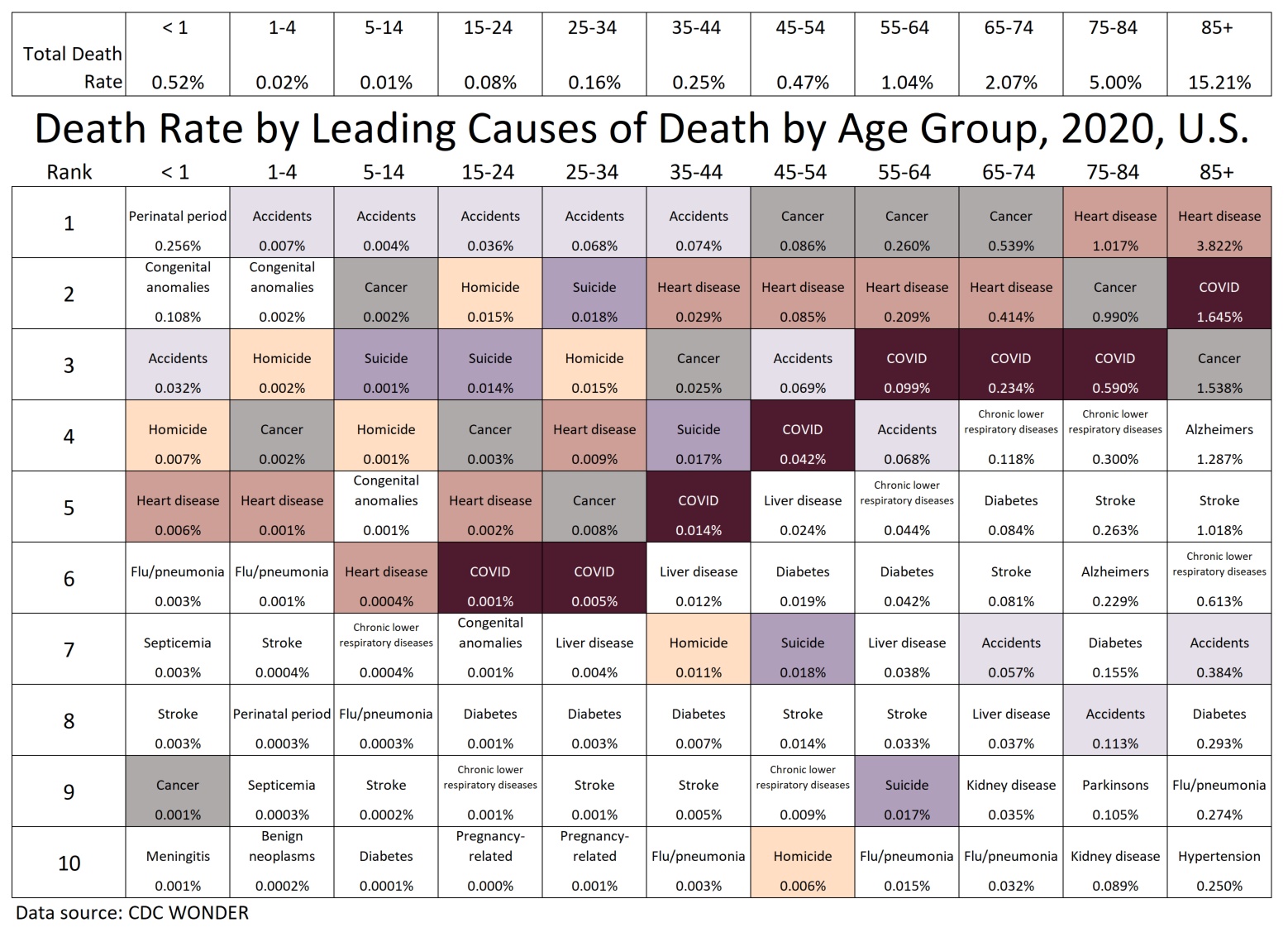 2020 Causes of Death, by Age