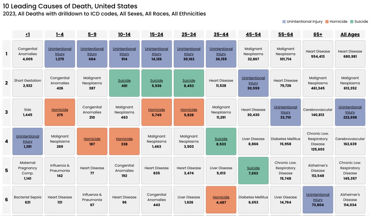 2023 Causes of Death