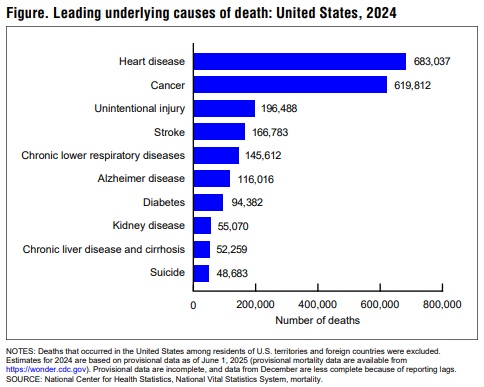 2024 Provisional Deaths