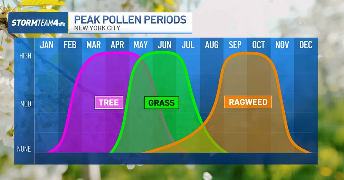 NYC Allergies