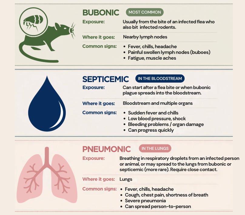 Plague Types