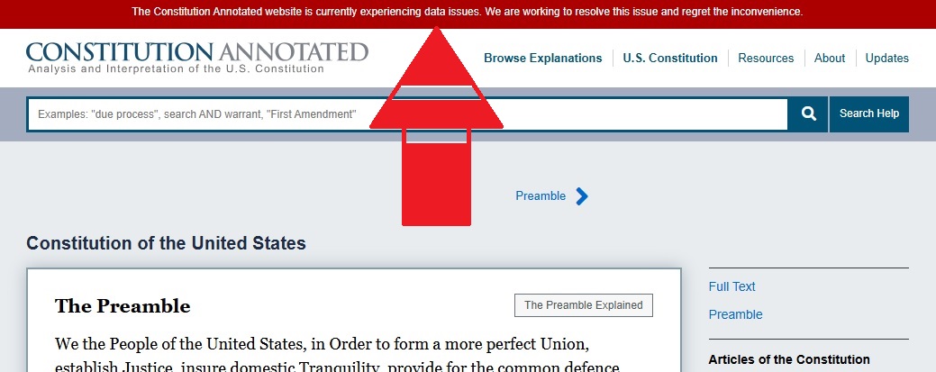 Constitution Webpage with notation of data issues